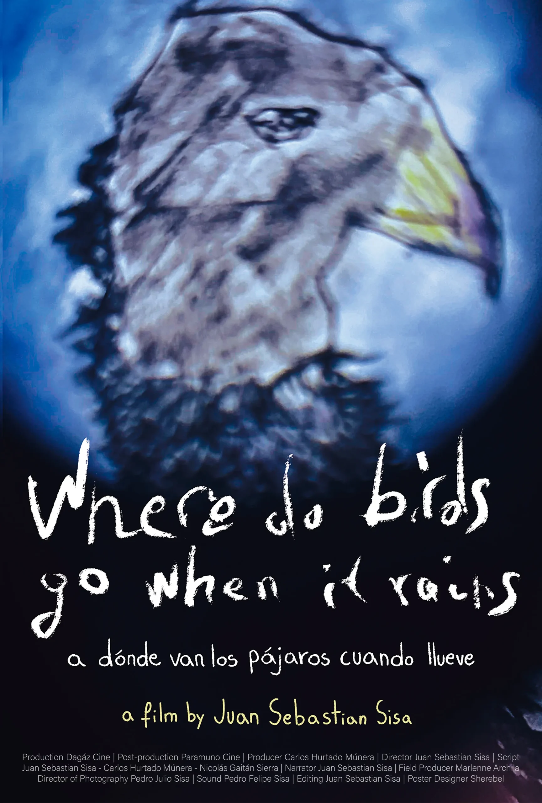 Poster de película a Donde van los Pájaros Cuando Llueve