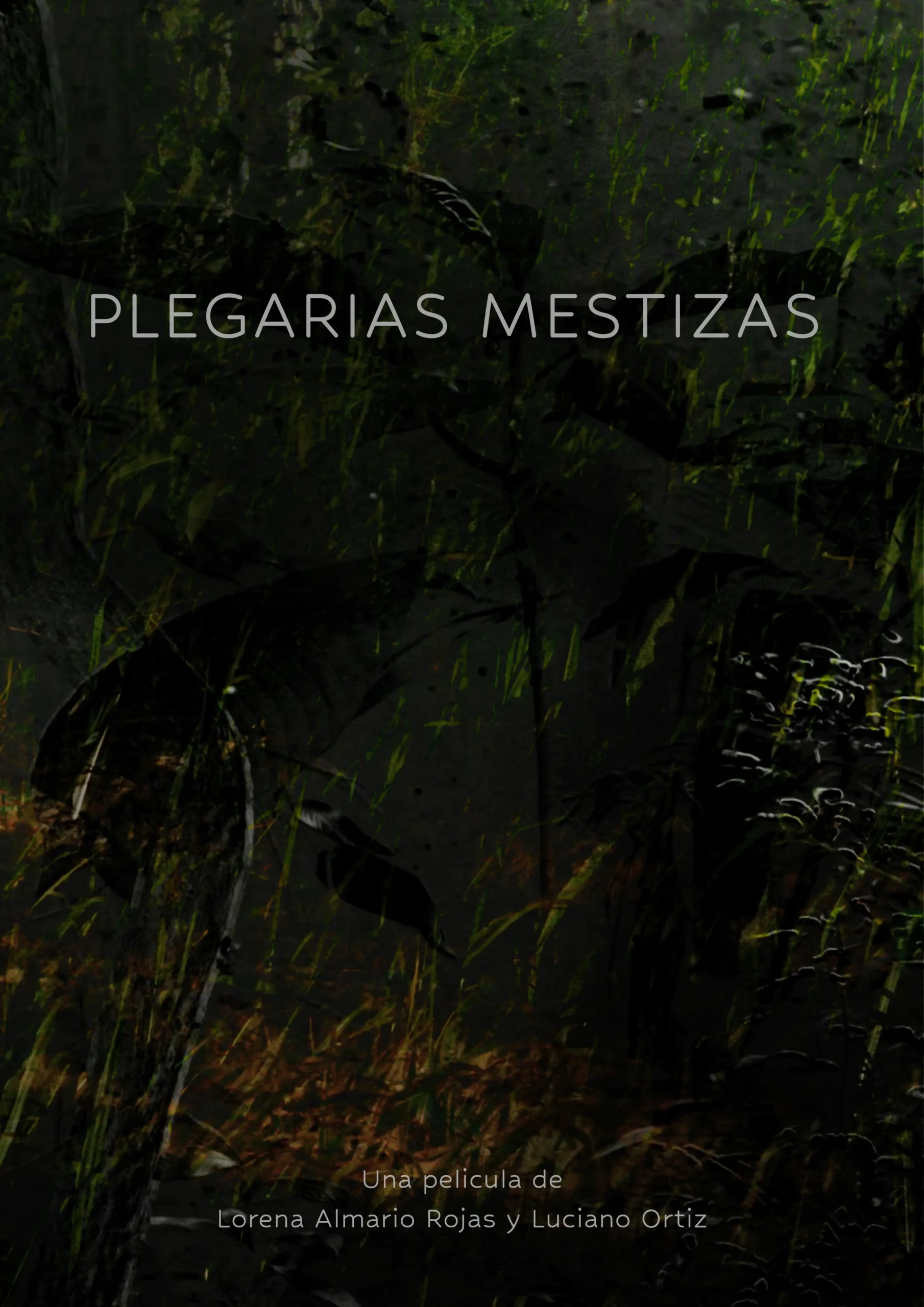 Poster de película Plegarias Mestizas